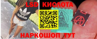 a pvp Краснознаменск
