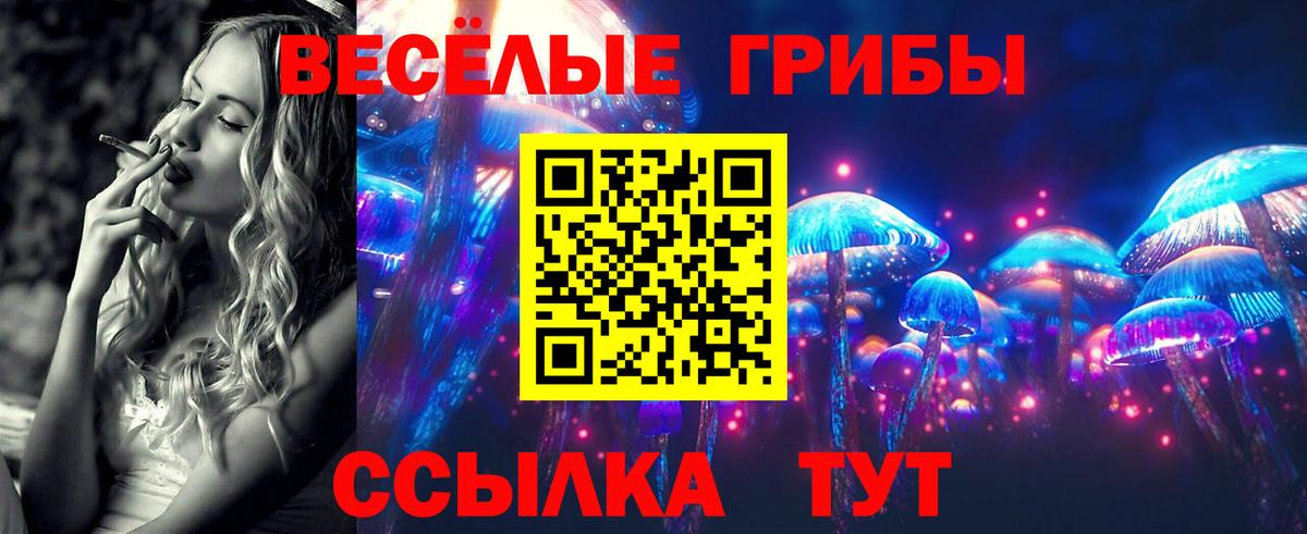 Коряжма  Галлюциногенные грибы Magic Shrooms  Галлюциногенные грибы мухоморы  Вход с VPN 