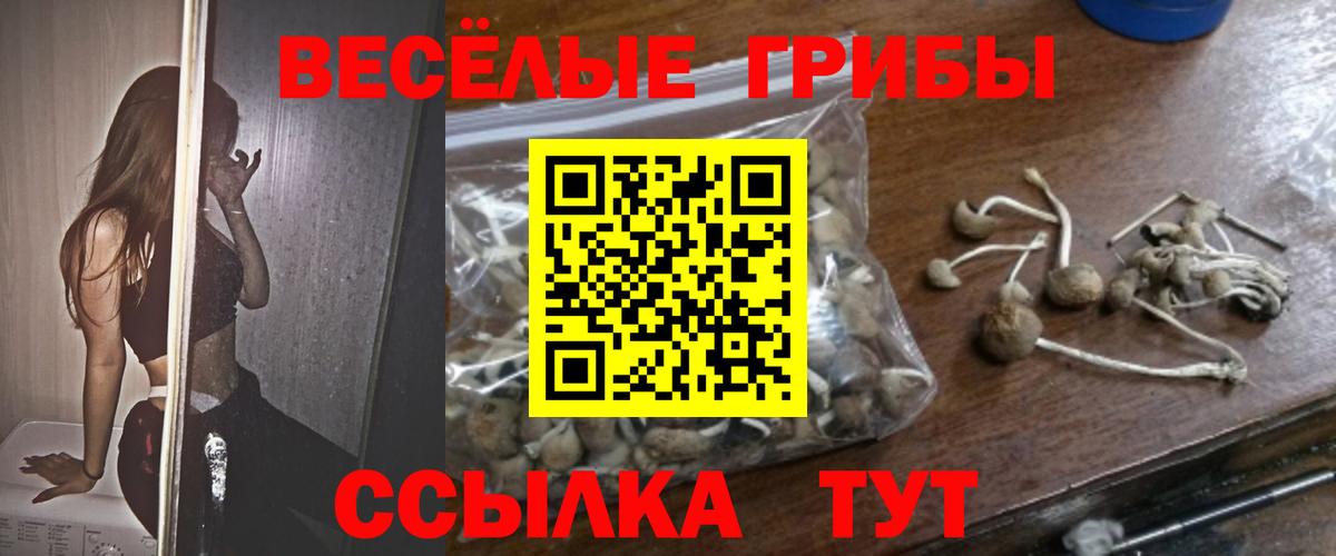 MDMA  Вход с VPN  Конопля  Сколько стоит  LSD-25  Коряжма  Cocaine  ГАШ  МЕФ  