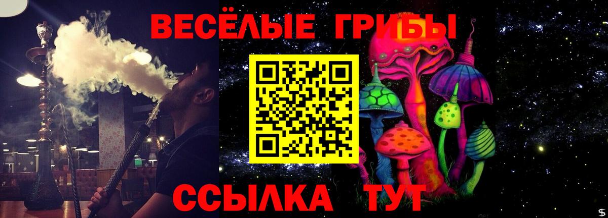 Галлюциногенные грибы мухоморы Коряжма